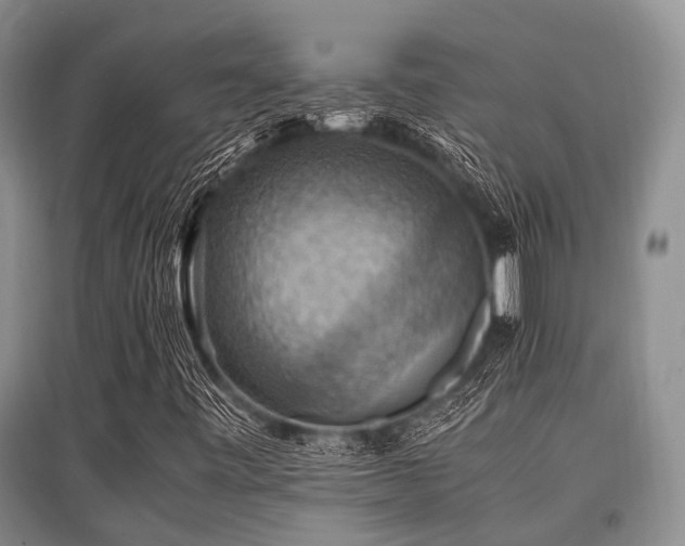 X0000097881443200803141310
