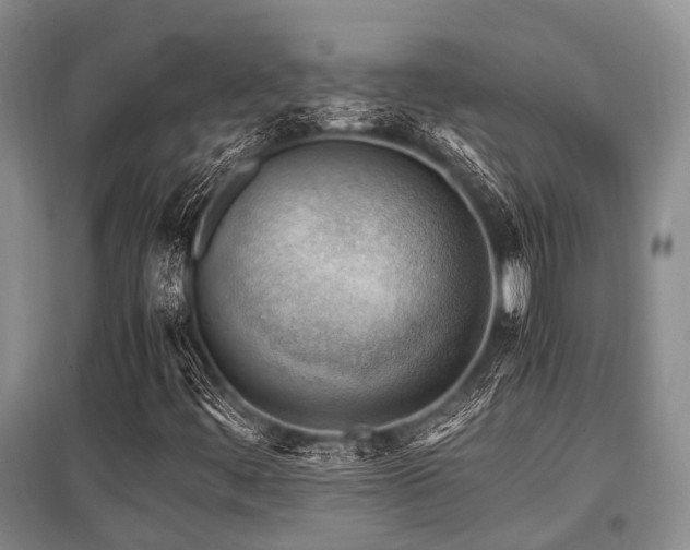 X0000097881444200803141310