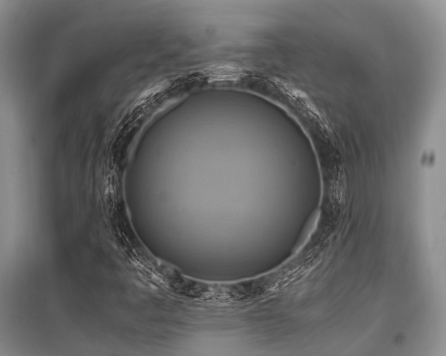 X0000097881445200803141309