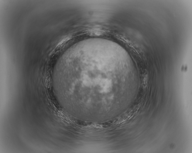 X0000097881446200803141309