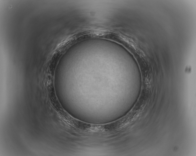 X0000097881447200803141309