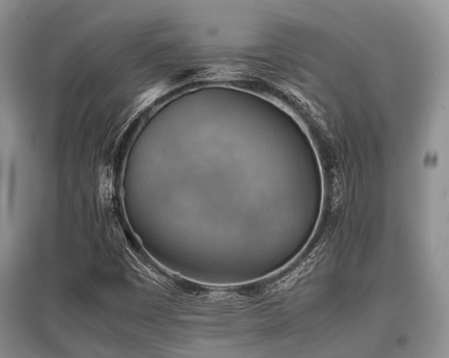 X0000097881449200803141309