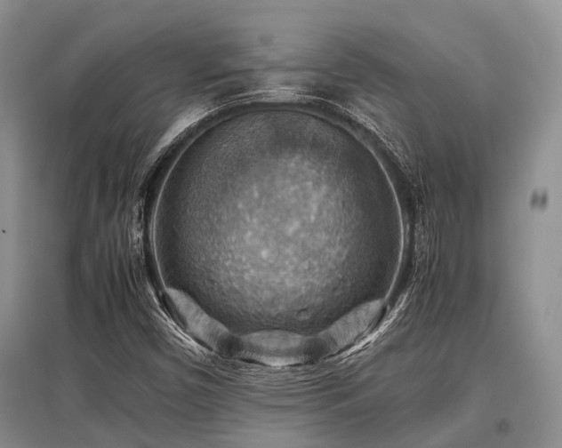 X0000097881450200803141309