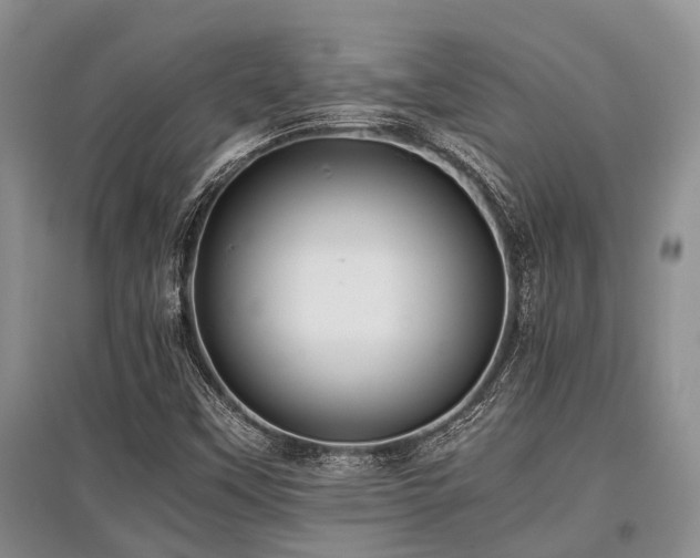 X0000097881451200803141309