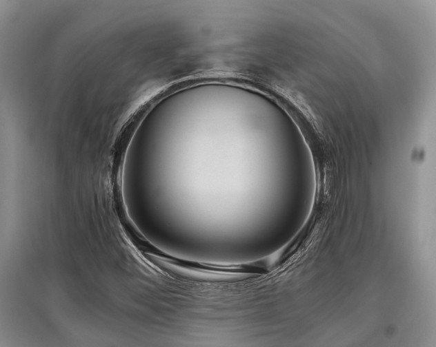 X0000097881452200803141309