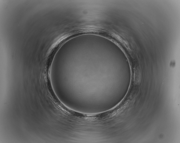 X0000097881453200803141309