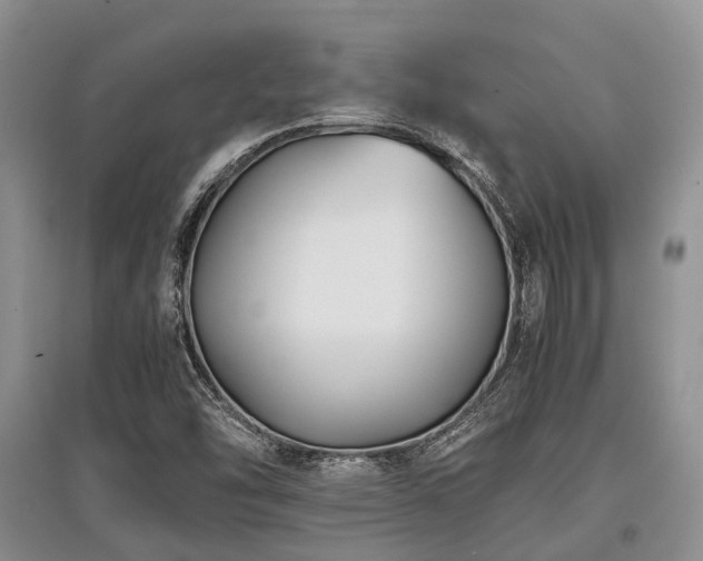 X0000097881454200803141309