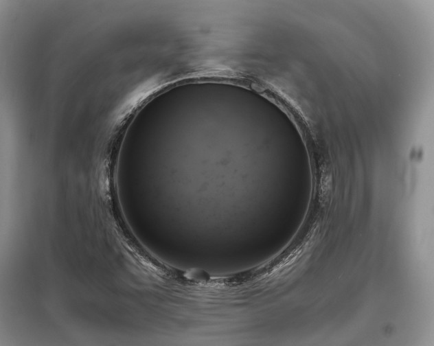 X0000097881455200803141309