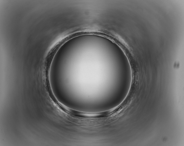 X0000097881456200803141309