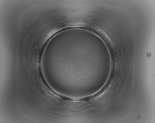 X0000097881457200803141309