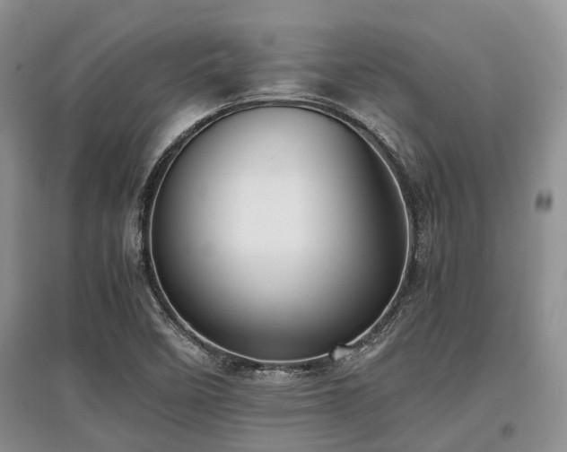 X0000097881458200803141309