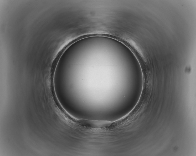 X0000097881460200803141309