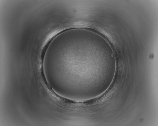 X0000097881461200803141309