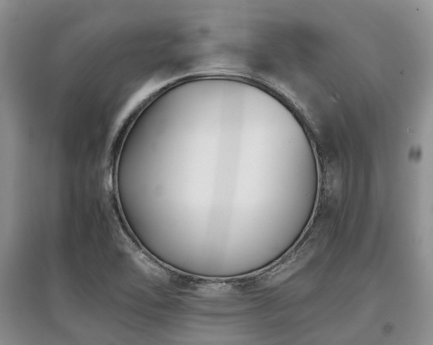 X0000097881462200803141309