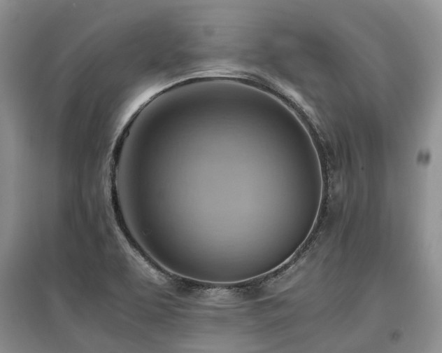 X0000097881463200803141309