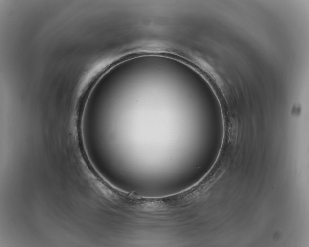 X0000097881464200803141309