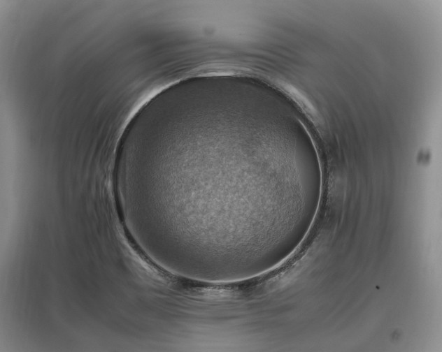 X0000097881465200803141309