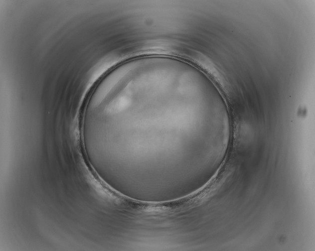 X0000097881466200803141309