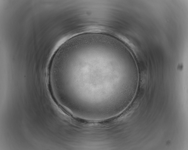 X0000097881467200803141309