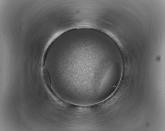 X0000097881469200803141309