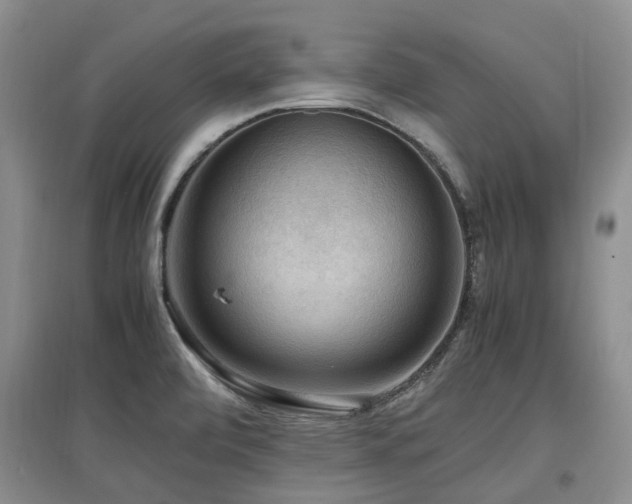 X0000097881472200803141309