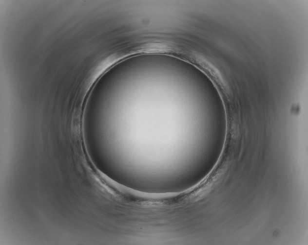 X0000097881473200803141309
