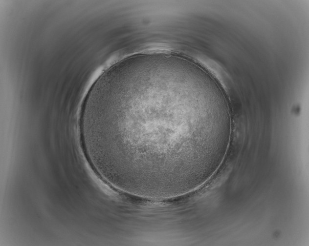 X0000097881475200803141309