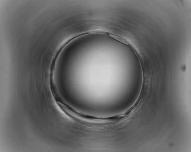 X0000097881476200803141309