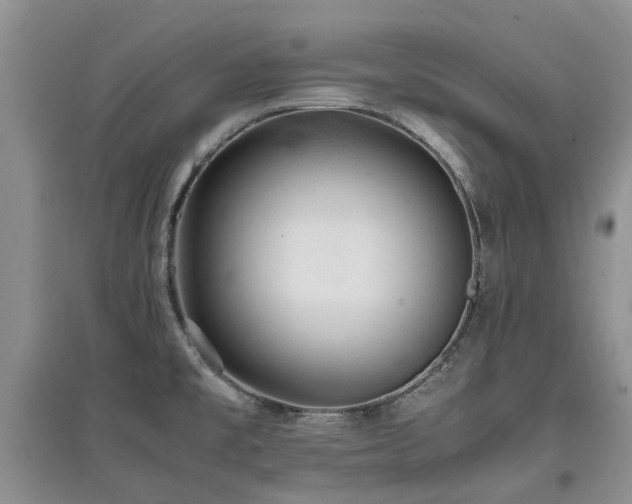 X0000097881477200803141309