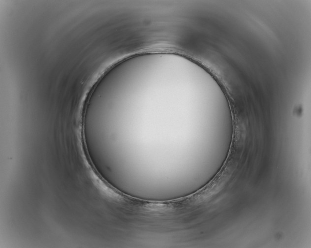 X0000097881478200803141309