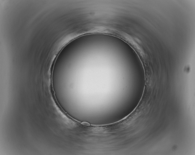 X0000097881479200803141309