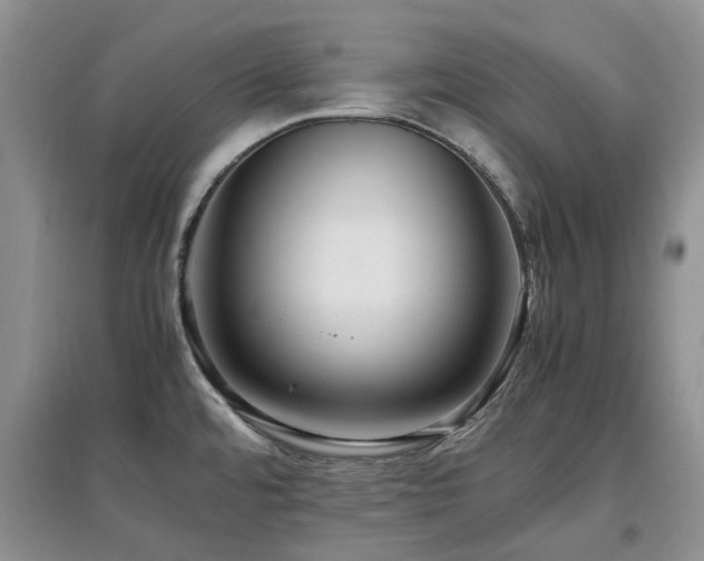 X0000097881480200803141309