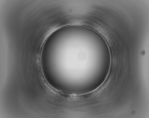 X0000097881481200803141309