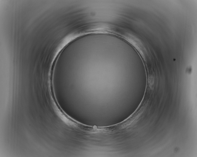X0000097881482200803141309
