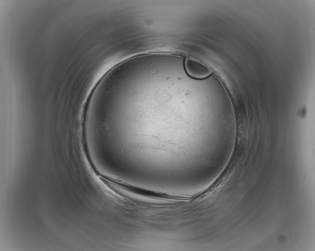 X0000097881483200803141309