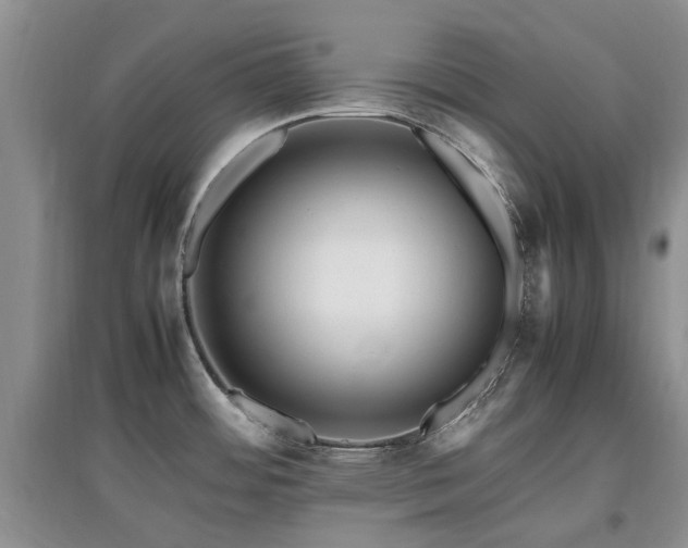 X0000097881484200803141309