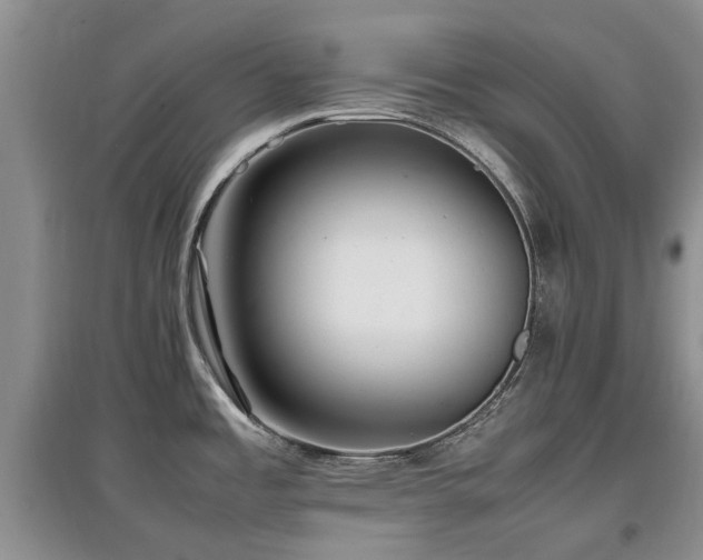 X0000097881485200803141309