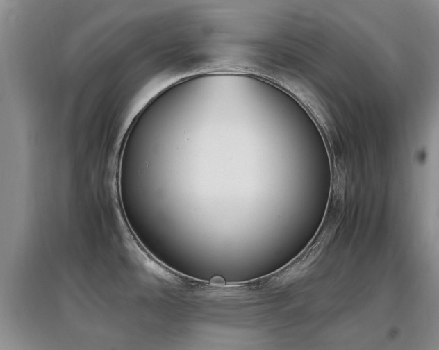 X0000097881486200803141309