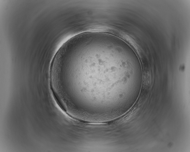 X0000097881487200803141309