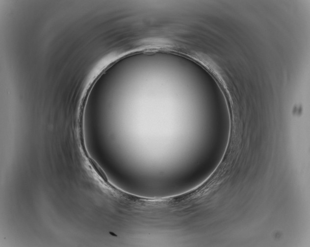 X0000097881488200803141309