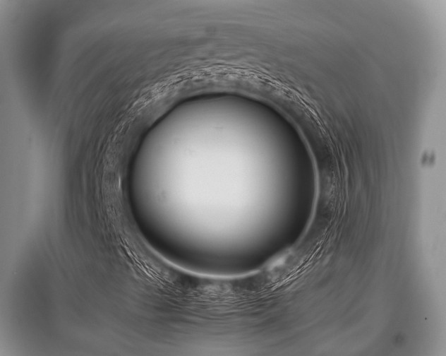 X0000097881489200803141308