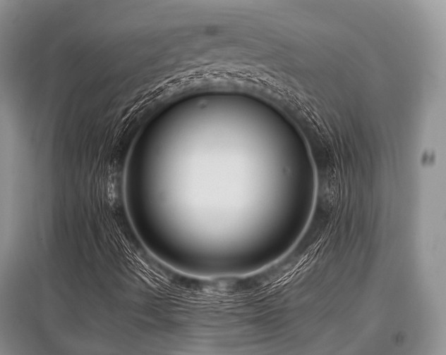 X0000097881490200803141308