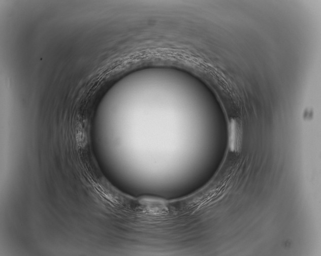X0000097881491200803141308