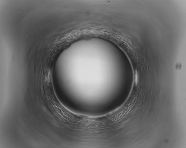 X0000097881492200803141308
