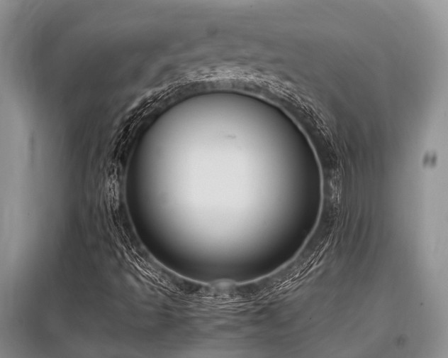 X0000097881493200803141308