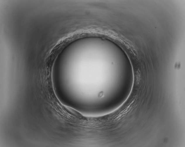 X0000097881494200803141308