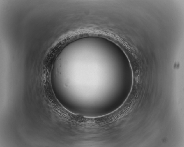 X0000097881495200803141308