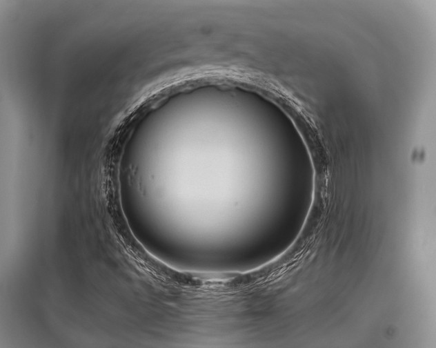 X0000097881496200803141308