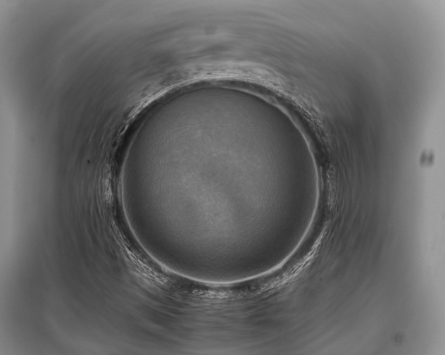 X0000097881497200803141308