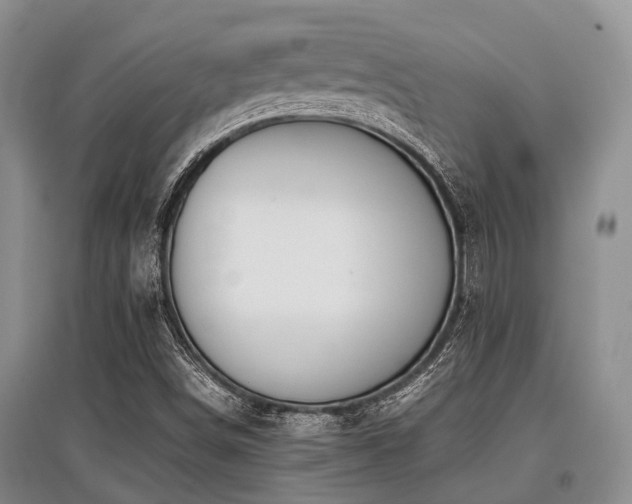 X0000097881498200803141308
